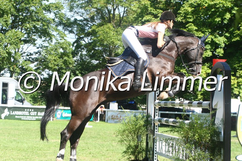 308M1873_Spring Mxx.JPG